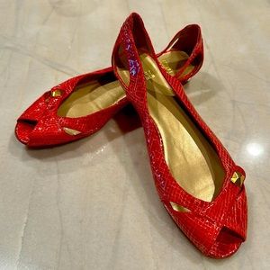 NWOT Stuart Weitzman beautiful flats 😍